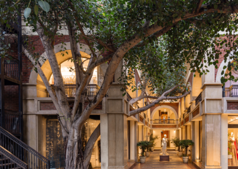 Volume 7: October + November 2024