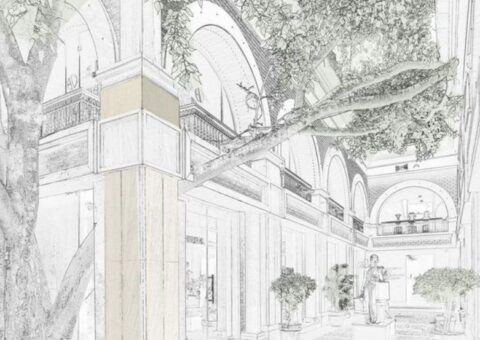 Kutub Boulevard: How to design around a 100-year-old Peepal tree