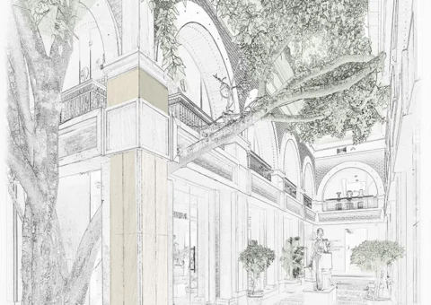 Kutub Boulevard: How to design around a 100-year-old Peepal tree